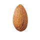 Almond
