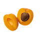 Apricot